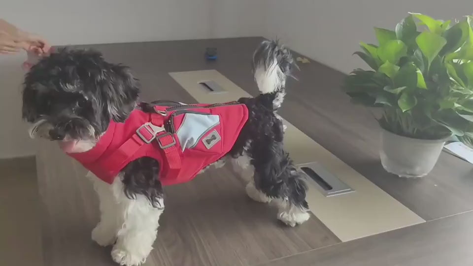 Hund Jacke