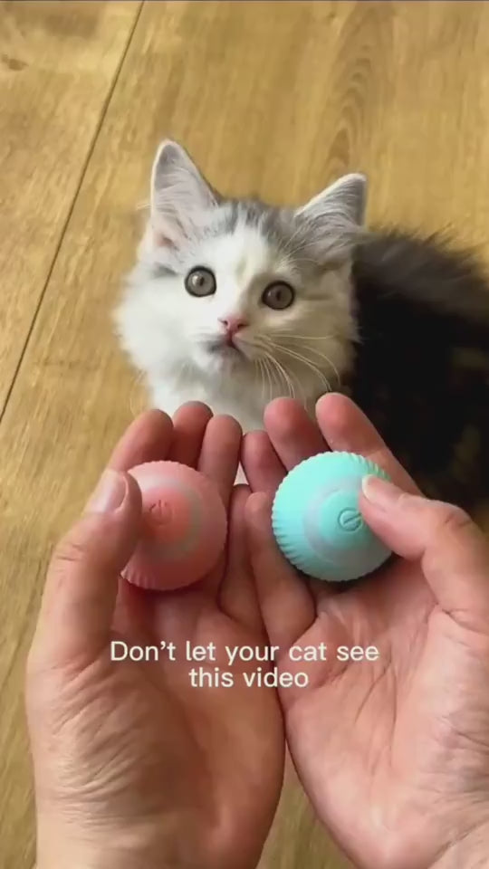 Rollender Katzen-Teaserball