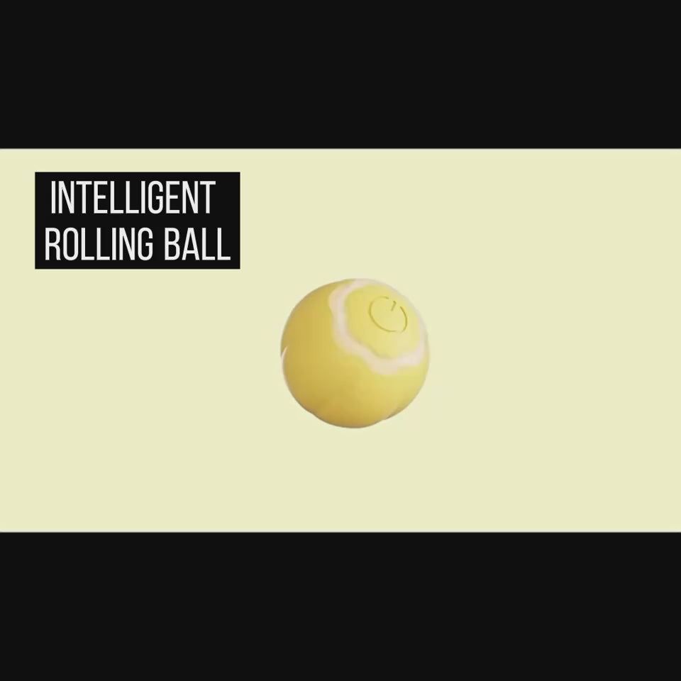 Smart Rolling Ball Katzenspielzeug