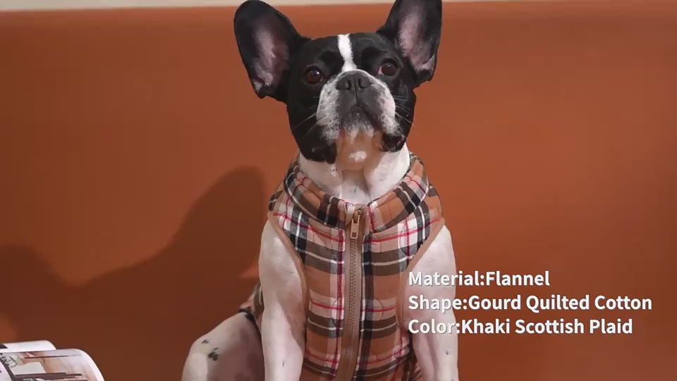 Winter-Doggenmantel mit Plaidschur und Zipper