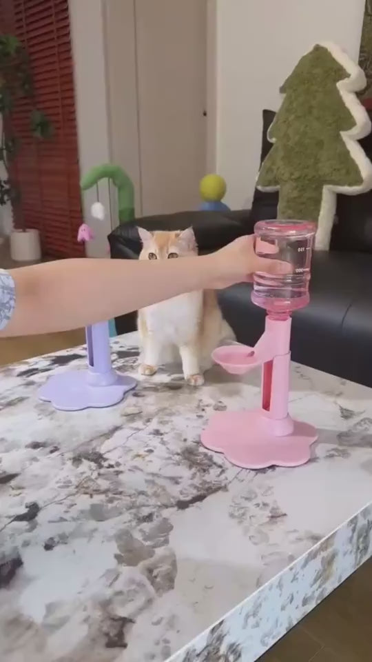 Katzenwasserspender