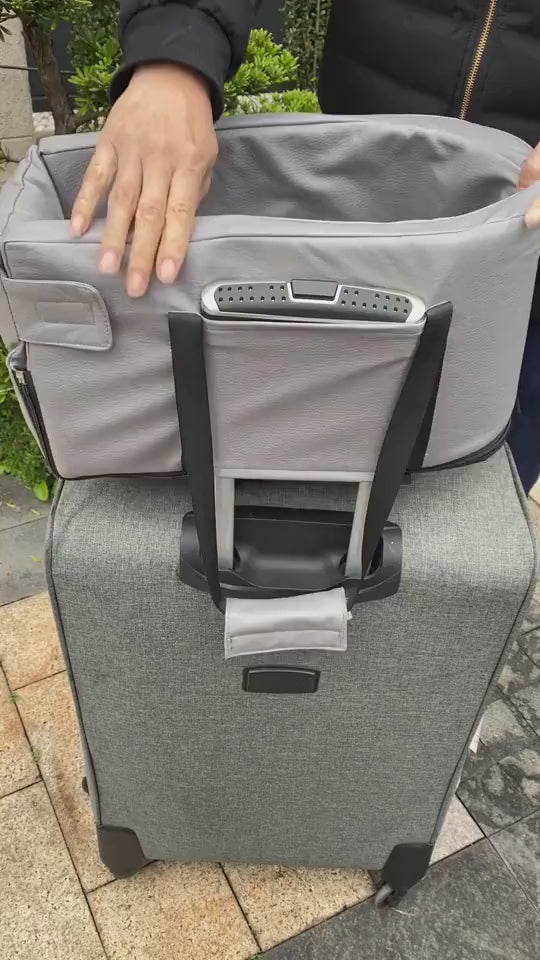 Haustier-Reisematte für das Auto