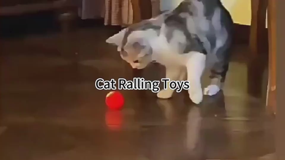 Automatisches Springball für Katzen