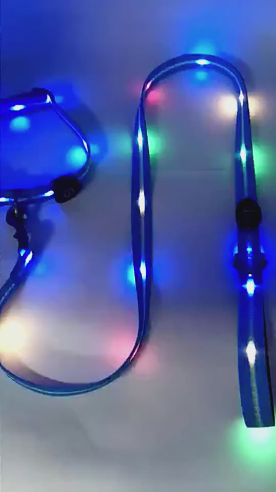 LED Leuchtcollar mit Zugleine, wiederaufladbar