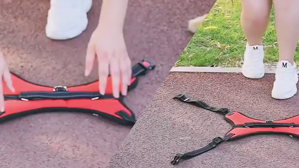 Gepolstertes Nylon-Geschirr für Hunde