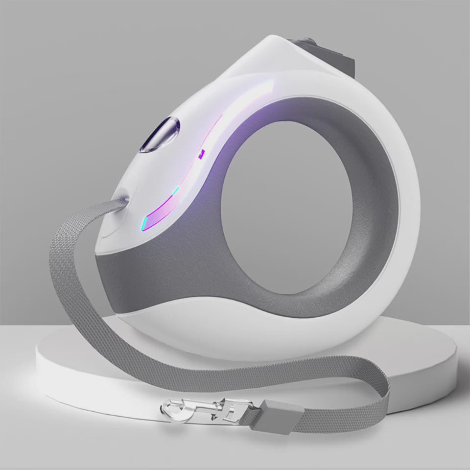 Hundeleine mit LED-Beleuchtung, 3m